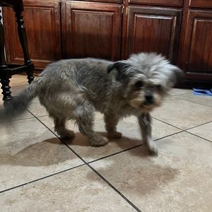 Meet your Posher, Dylpickle142